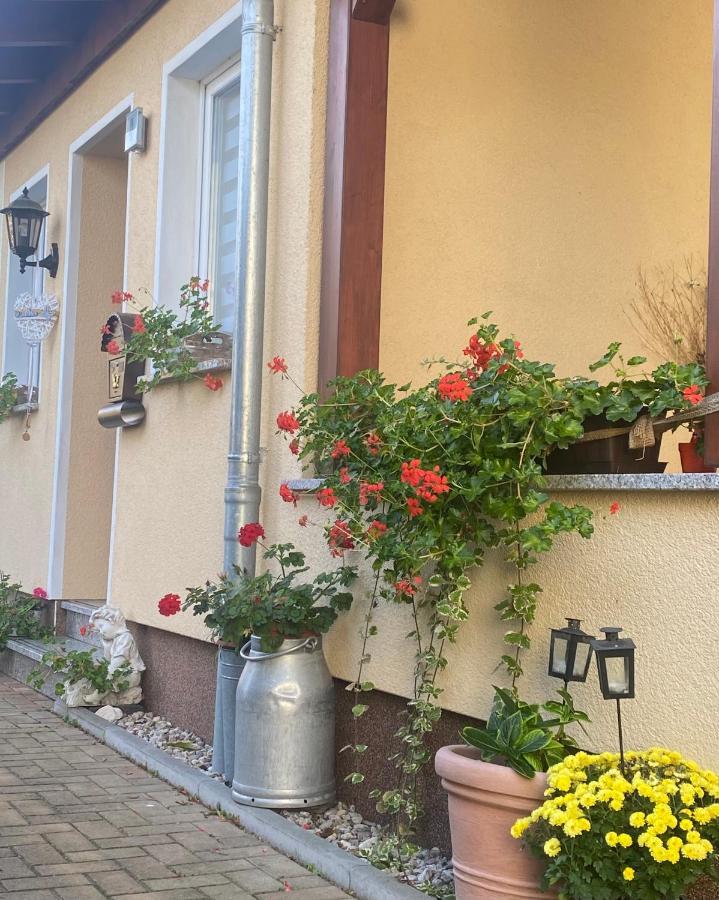 Ferienwohnung „Thea“ Bad Lausick Exterior photo